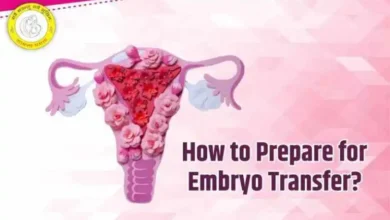 How to Prepare for Embryo Transfer