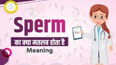 Sperm Meaning in Hindi